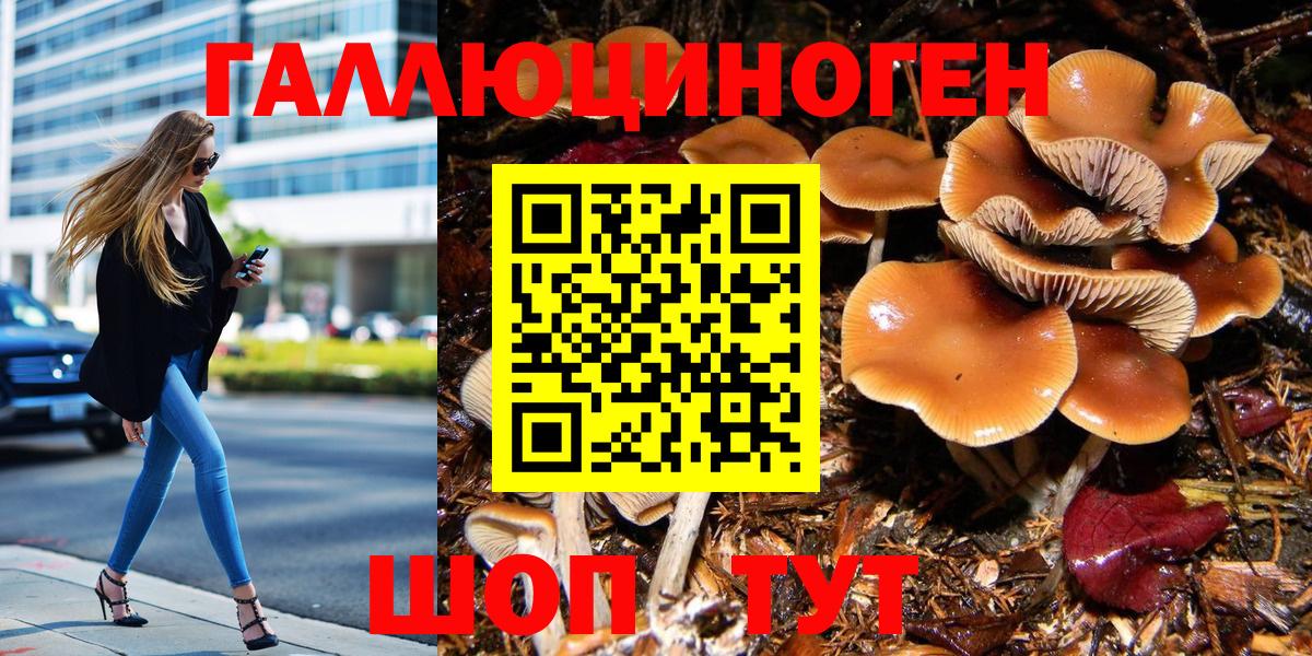 Галлюциногенные грибы Magic Shrooms Тула