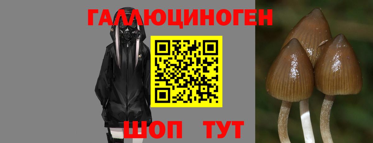 Галлюциногенные грибы Magic Shrooms  Вход с VPN  Тула 
